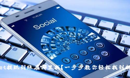 tpwallet提现到账在哪里找？一步步教你轻松找到提现记录