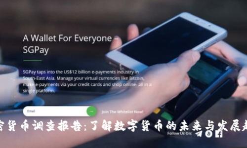 加密货币调查报告：了解数字货币的未来与发展趋势