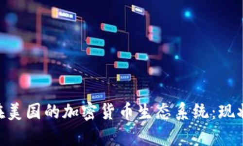 Ripple在美国的加密货币生态系统：现状与未来