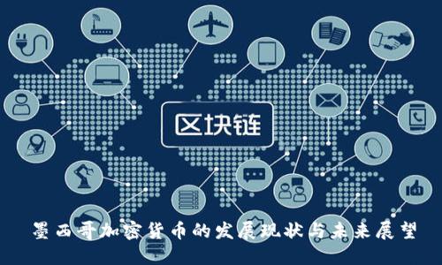 墨西哥加密货币的发展现状与未来展望