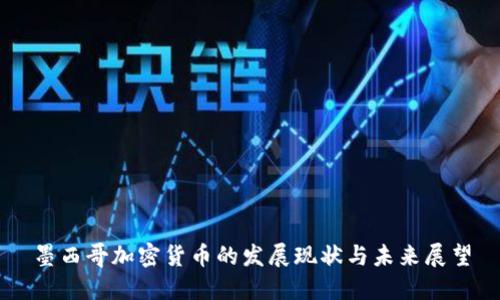 墨西哥加密货币的发展现状与未来展望