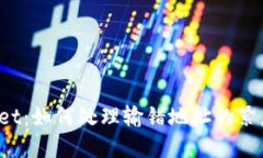 TPWallet：如何处理输错地址
