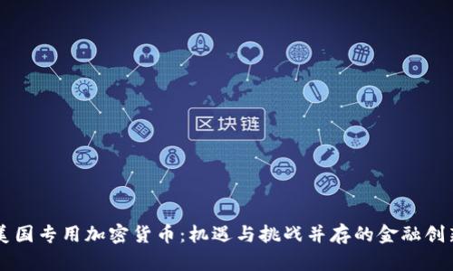 美国专用加密货币：机遇与挑战并存的金融创新