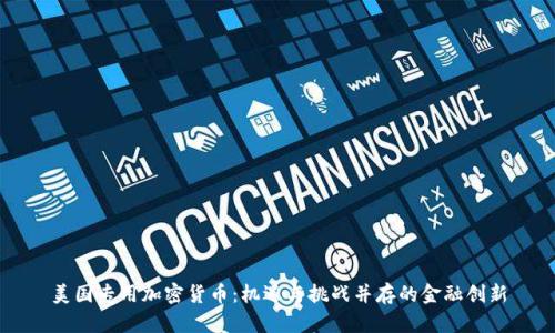 美国专用加密货币：机遇与挑战并存的金融创新