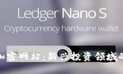 数字货币加密网站：新兴