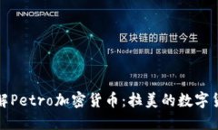 深入了解Petro加密货币：拉