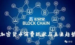 美国加密货币消费现状与