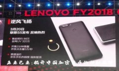 未来已来：揭开中国加密