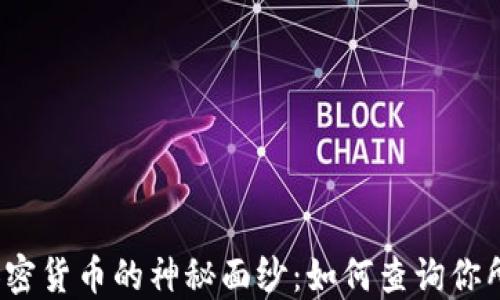 
揭开美国加密货币的神秘面纱：如何查询你所需的信息？