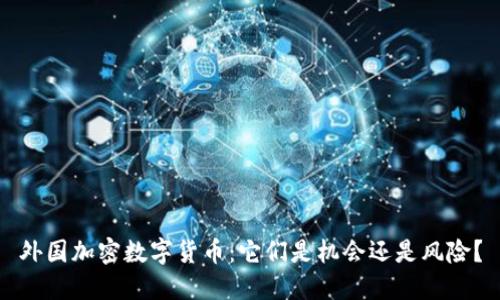 外国加密数字货币：它们是机会还是风险？