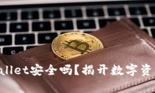 私钥导入TPWallet安全吗？揭开数字资产安全的真相！