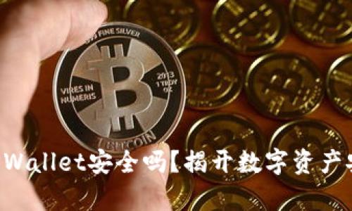 私钥导入TPWallet安全吗？揭开数字资产安全的真相！