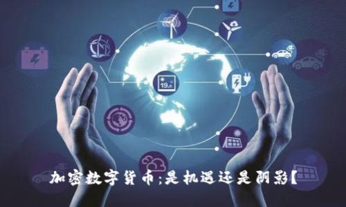 加密数字货币：是机遇还是阴影？