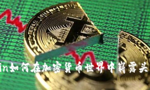 Grin如何在加密货币世界中崭露头角？
