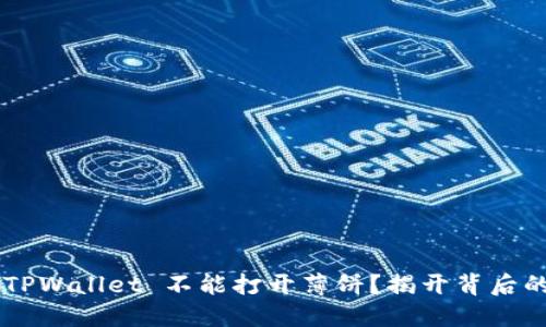 为何 TPWallet 不能打开薄饼？揭开背后的秘密！