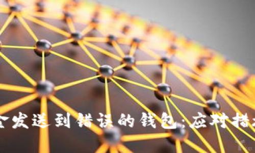 当你误将资金发送到错误的钱包：应对措施与解决方案