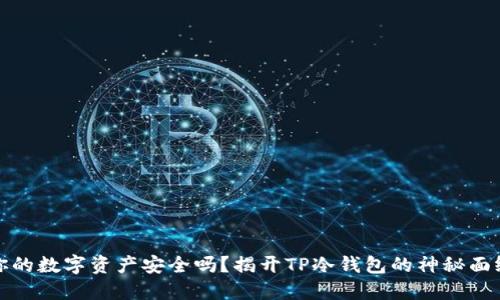 你的数字资产安全吗？揭开TP冷钱包的神秘面纱