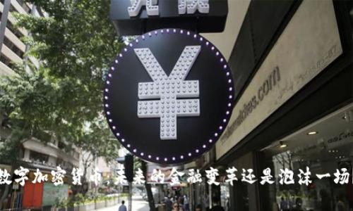 数字加密货币：未来的金融变革还是泡沫一场？