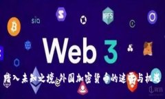 踏入未知之境：外国加密货币的迷雾与机遇