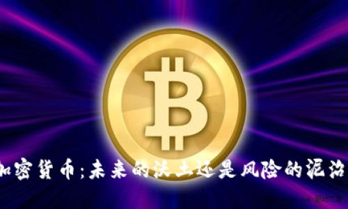 加密货币：未来的沃土还是风险的泥沼？