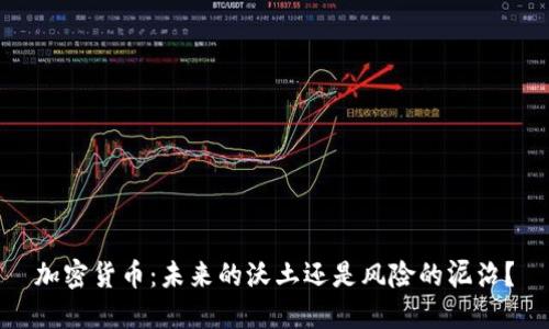 加密货币：未来的沃土还是风险的泥沼？