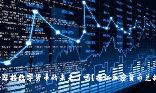 你准备好迎接数字货币的未来了吗？揭秘加密货币兑换的奥秘！