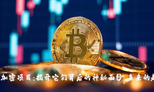 数字货币加密项目：揭开它们背后的神秘面纱，未来的趋势何在？