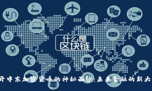 揭开中东加密货币的神秘面纱：未来金融的新大陆？