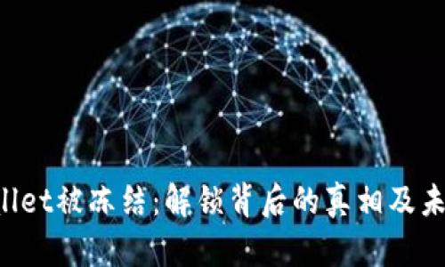 TP Wallet被冻结：解锁背后的真相及未来展望