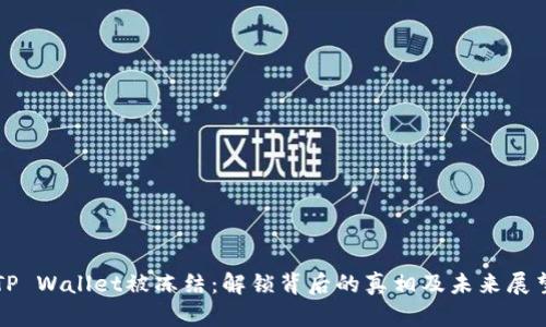 TP Wallet被冻结：解锁背后的真相及未来展望
