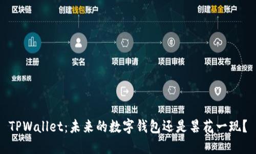 TPWallet：未来的数字钱包还是昙花一现？