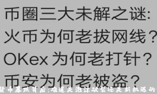 
加密货币暴跌背后：难道是泡沫破裂还是新机遇的前奏？