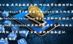 要查看TPWallet公链的相关信