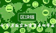 神秘的数字币：印度国家