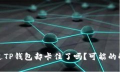 你曾经尝试过TP钱包却卡住