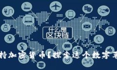 为什么支持加密货币？探