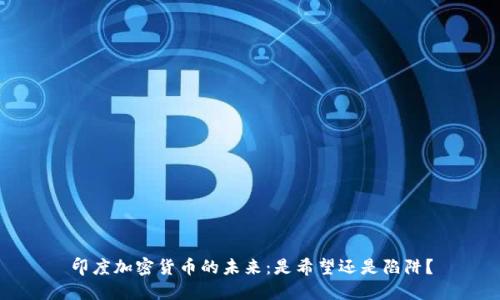 印度加密货币的未来：是希望还是陷阱？