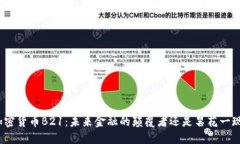 加密货币B21：未来金融的颠覆者还是昙花一现？