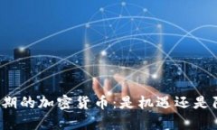 观察期的加密货币：是机遇还是陷阱？