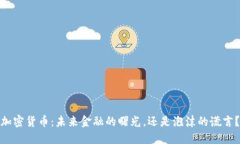 加密货币：未来金融的曙光，还是泡沫的谎言？