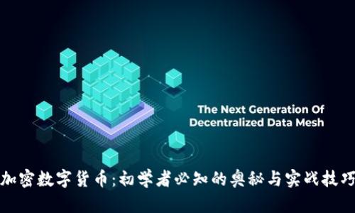 加密数字货币：初学者必知的奥秘与实战技巧