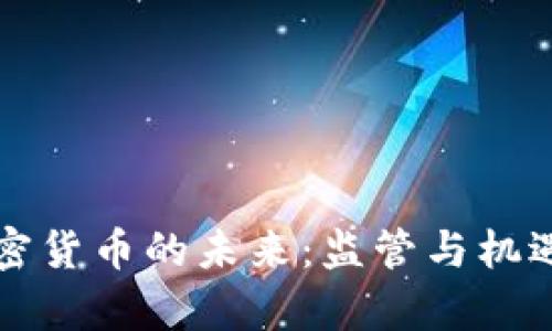 非洲加密货币的未来：监管与机遇的博弈