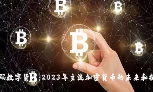 解码数字货币：2023年主流加密货币的未来和挑战