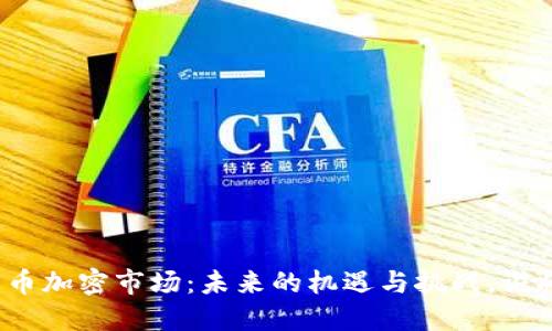 欧美货币加密市场：未来的机遇与挑战，谁将胜出？