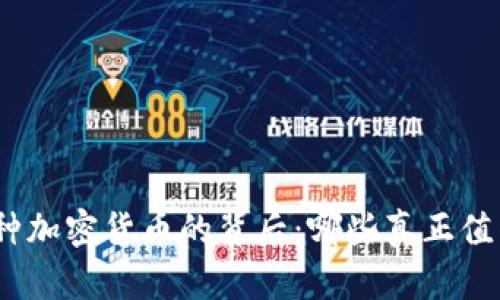800多种加密货币的背后：哪些真正值得投资？