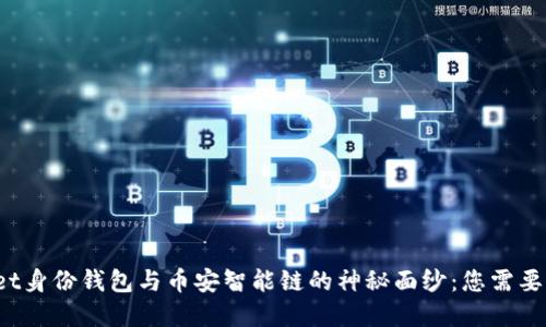 揭开tpwallet身份钱包与币安智能链的神秘面纱：您需要知道的一切！