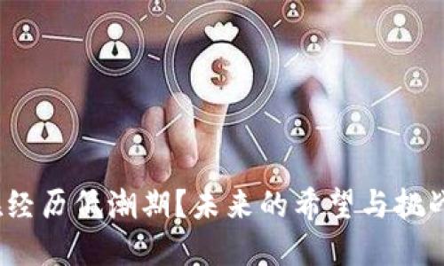加密货币正在经历低潮期？未来的希望与挑战究竟在哪里？