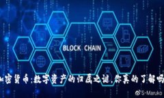 加密货币：数字资产的归