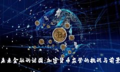 未来金融的谜团：加密货