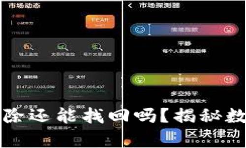 TPWallet已删除还能找回吗？揭秘数据恢复的奥秘